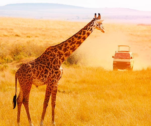 Vi portiamo in....Kenya!